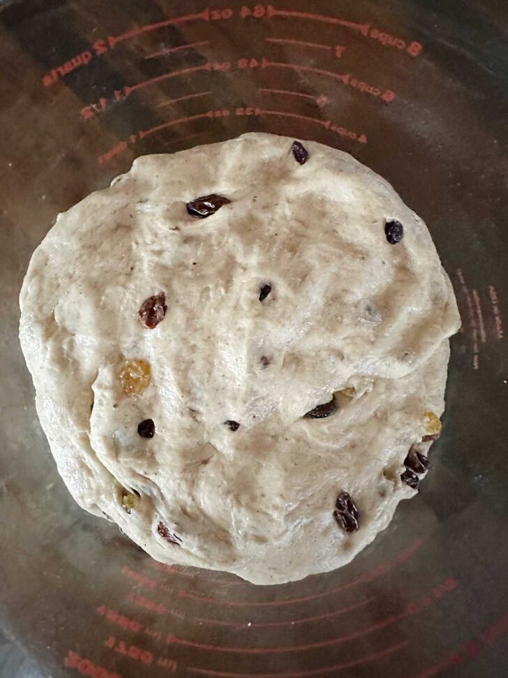 Dough set to rise in a bowl.