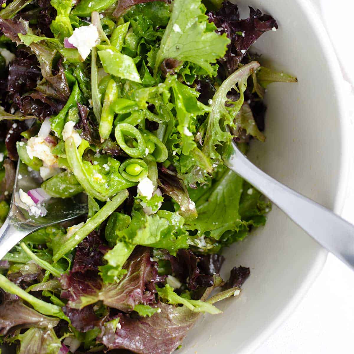 A Simple Spring Salad 