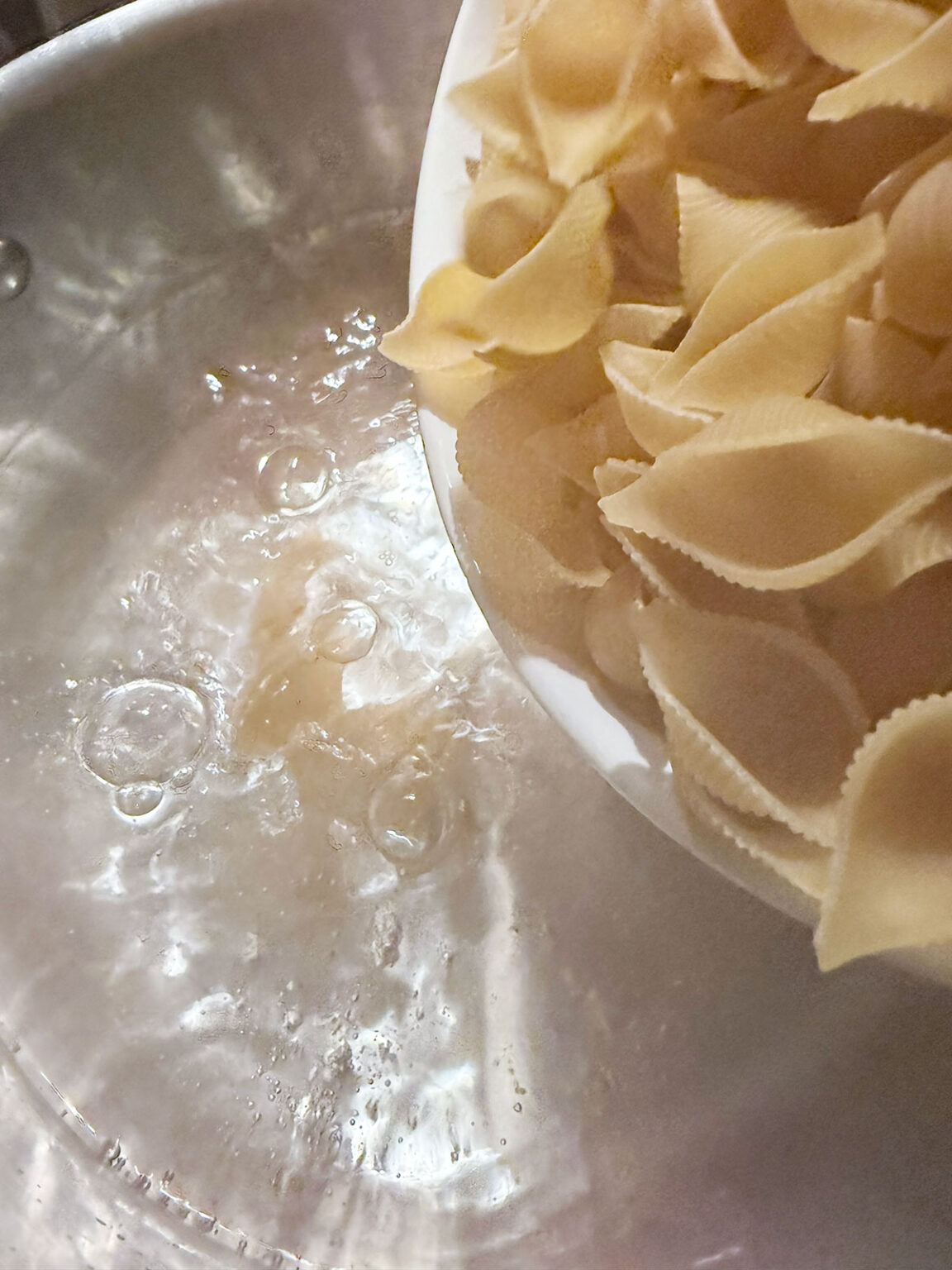 M Shell Paste Shell Pasta Salad - Seasons and Suppers