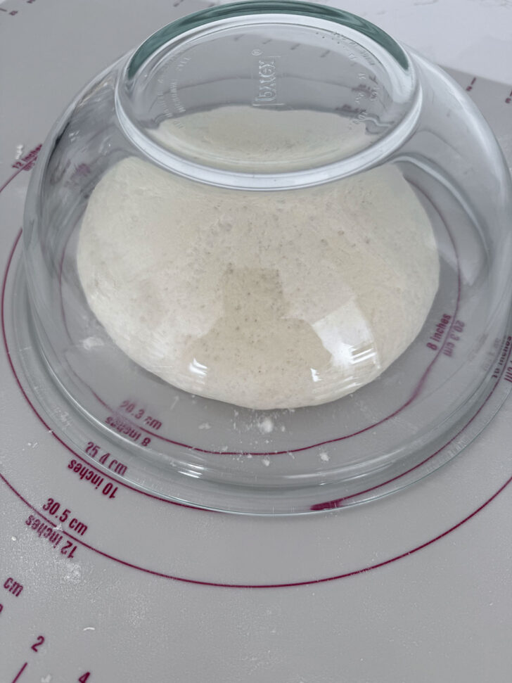 One pizza dough ball rising under a bowl.