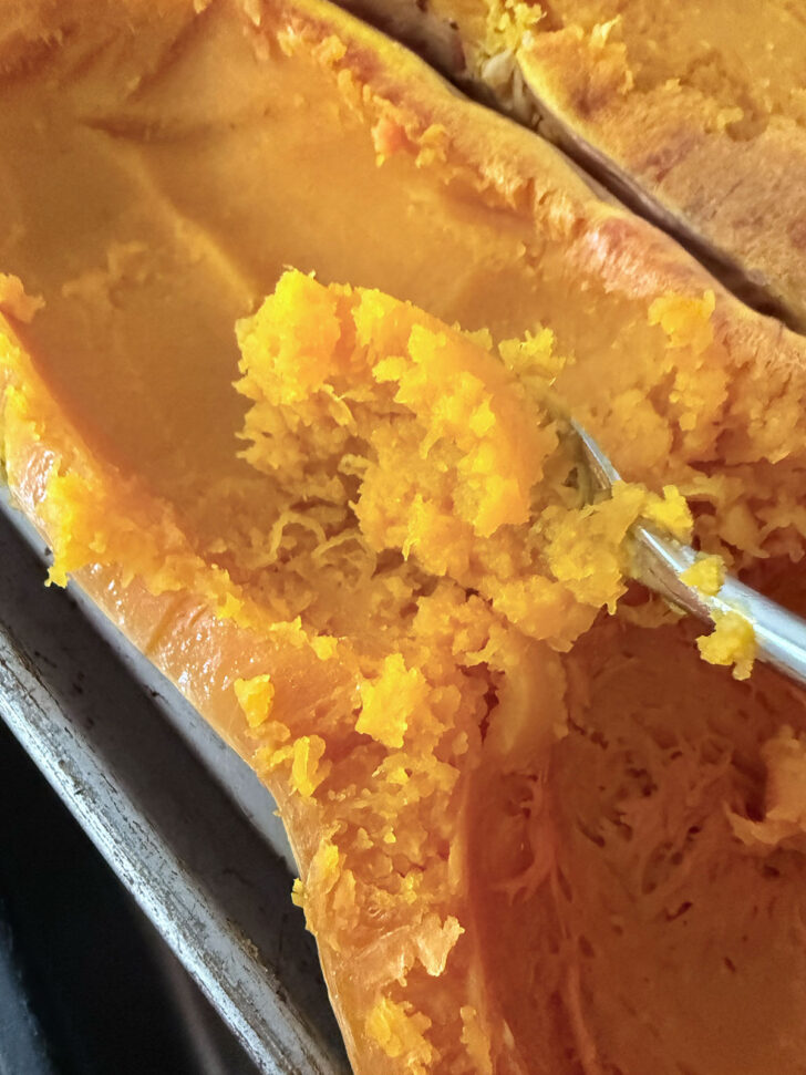 Scooping the flesh out of the cooked butternut squash.