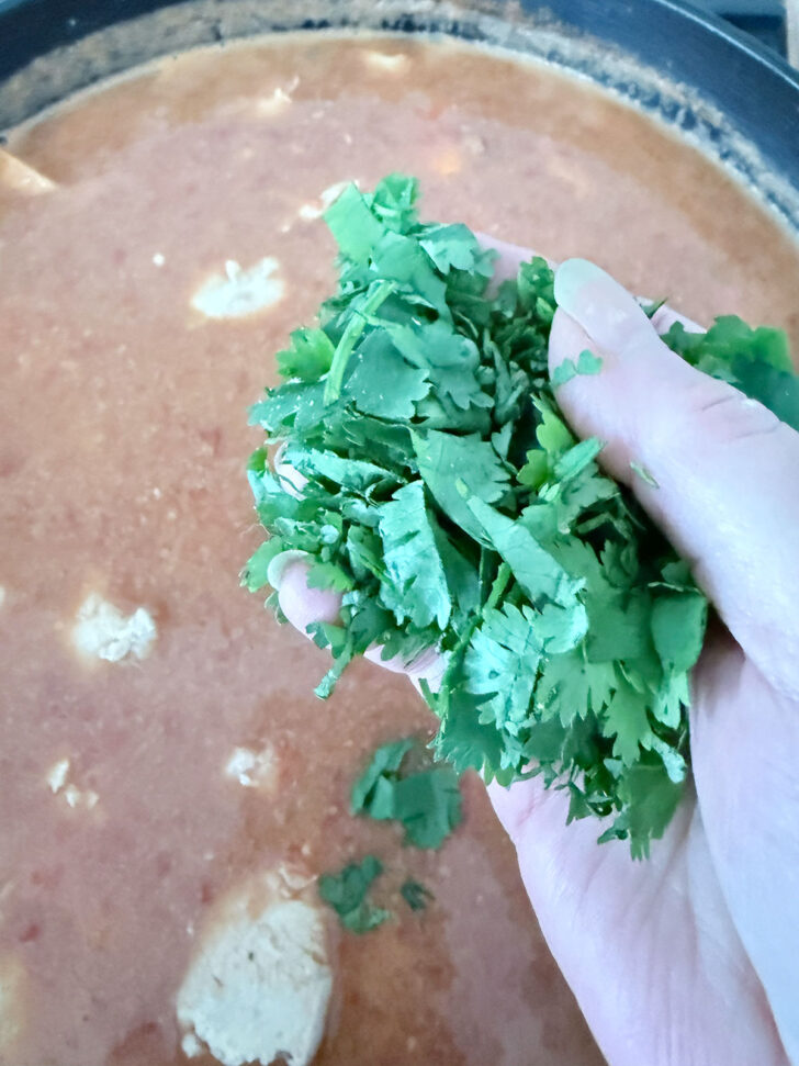 Adding cilantro to the stew.