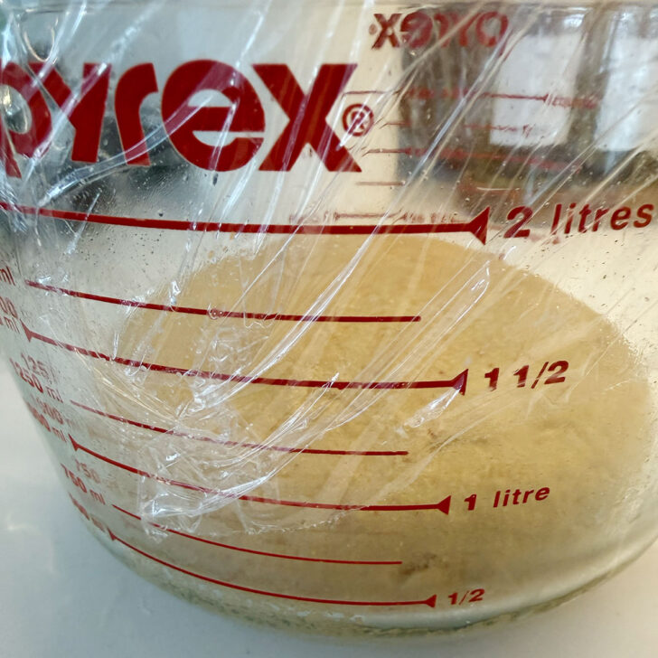Dough rising in a covered measuring cup.