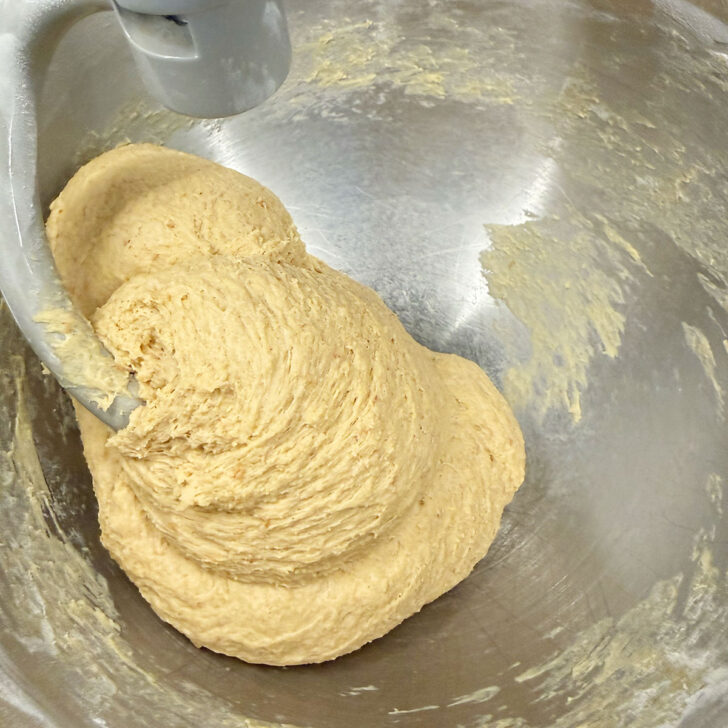 Finished dough in the stand mixer.
