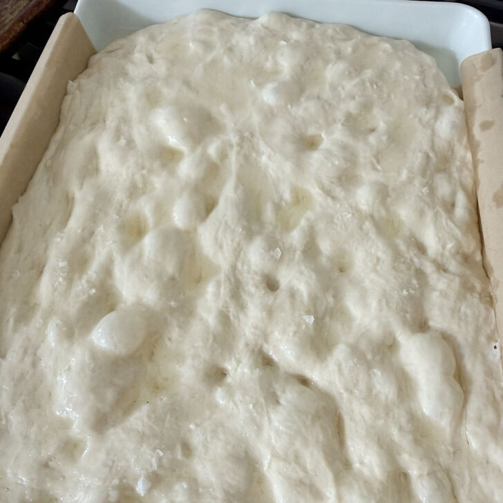 Focaccia dough after drizzling with oil and dimpling.