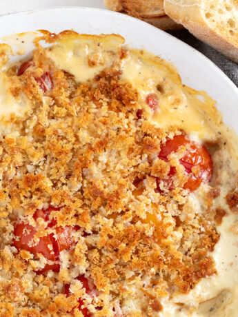 Tomato gratin in the baking dish with toasted bread slices on the side.