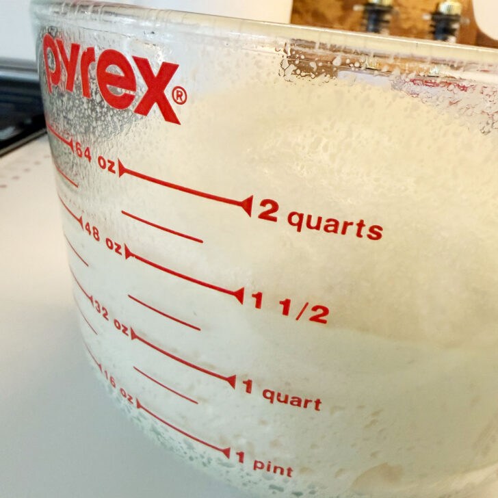 Dough in a measuring cup after rising.